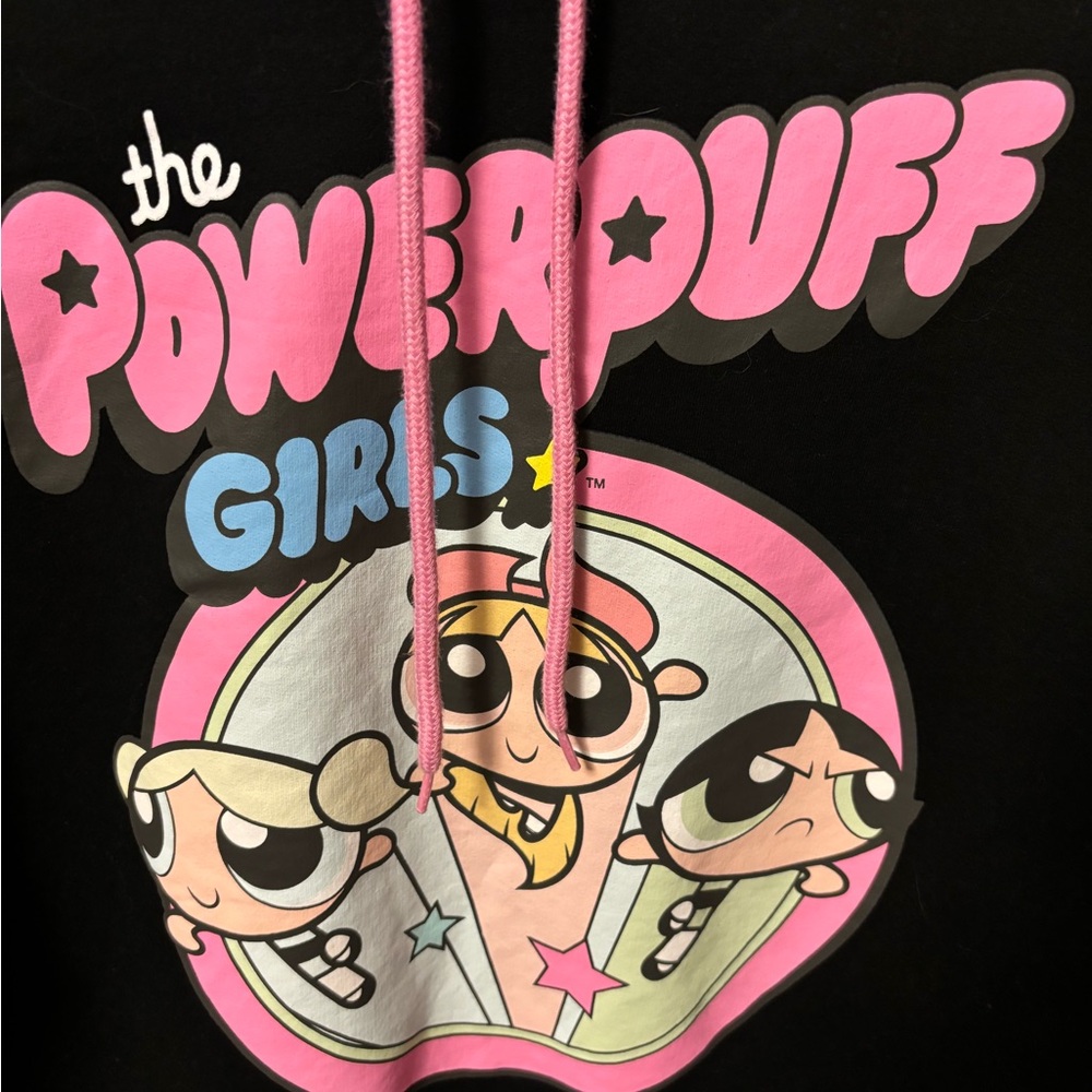 Powerpuff Girls hoodie Juniors size XXL - Picture 2 of 5